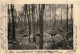 Englische Erfhöhle Im Walde Vor Ypern - Feldpost 51. Res. Division - Ieper