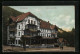 AK Ilsenburg, Ansicht Des Hotels Ilsenstein  - Ilsenburg