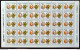 C 1794 Brazil Stamp Expedition Longsdorff Environment Florence Flora 1992 Sheet Complete Series - Neufs