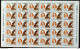 C 1794 Brazil Stamp Expedition Longsdorff Environment Florence Flora 1992 Sheet Complete Series - Ungebraucht