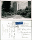 Postcard Sydney Botanical Gardens, Hochhäuser - Fotokarte 1946 - Sydney