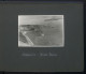 Fotoalbum Mit 124 Fotografien, Ansicht Insel Riems, Friedrich Loeffler Institut (FLI), Vierenforschung, Sezierung  - Alben & Sammlungen