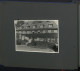 Delcampe - Fotoalbum Mit 124 Fotografien, Ansicht Insel Riems, Friedrich Loeffler Institut (FLI), Vierenforschung, Sezierung  - Albumes & Colecciones
