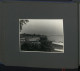 Delcampe - Fotoalbum Mit 124 Fotografien, Ansicht Insel Riems, Friedrich Loeffler Institut (FLI), Vierenforschung, Sezierung  - Albums & Verzamelingen