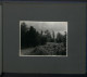 Delcampe - Fotoalbum Mit 124 Fotografien, Ansicht Insel Riems, Friedrich Loeffler Institut (FLI), Vierenforschung, Sezierung  - Album & Collezioni