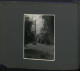 Delcampe - Fotoalbum Mit 124 Fotografien, Ansicht Insel Riems, Friedrich Loeffler Institut (FLI), Vierenforschung, Sezierung  - Album & Collezioni