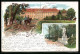 Lithographie Berlin-Tiergarten, Schloss Bellevue Und Denkmal Albrecht D. Bär  - Dierentuin
