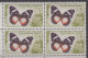 MADAGASCAR Coins Datés " Hypolimnas Dexithea " 3F Y.et.T. 345 Le 25 4 1960 Neuf  Scan Recto-verso - Unused Stamps