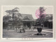 泉岳寺本堂 SENGAKUJI, Tokyo  , JAPAN JAPON POSTCARD - Tokio