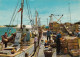 AUSTRALIA - Lakes Entrance - Typical Lakes Entrance Trawler Scene - Gippsland