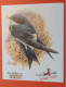 Carte Souvenir Oiseaux De Buzin Vœux De Fin D’année S.P.A.B. 2005 Hirondelle - 1985-.. Birds (Buzin)