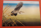 Carte Souvenir Oiseaux De Buzin Vœux De Fin D’année A.B.C. Philatelie 2008 Le Héron Cendré. - 1985-.. Oiseaux (Buzin)