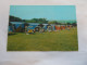 GRANGE FARM CENTRE CHIGWELL ( ENGLAND ANGLETERRE ) CAMPING SITE WITH EPPING FOREST IN THE BACKGROUND ANIMEES - Sonstige & Ohne Zuordnung