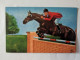 CPA -  Hippisme équitation Olympic Flash 21 Chewing-gum Tarzan - Paardensport