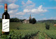 Vignes - Carte Publicitaire Imprimerie RBG De Gaillac - Bouteille De Vin - CPM - Carte Neuve - Voir Scans Recto-Verso - Weinberge