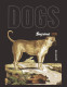 Guyana, Block Hunde - Dogs