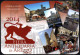 ITALIA 2014 - CALENDARIO TASCABILE - FIERA ANTIQUARIA DI AREZZO 2014 - I - Petit Format : 2001-...