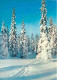 Finlande - Hiver Neige - Winter - Suomi - Finland - CPM - Voir Scans Recto-Verso - Finland