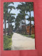 Avenue Of Palms Belleville   Barbados  Ref 6389 - Barbades