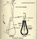 Delcampe - Poire P1  1915 - Sammlerwaffen