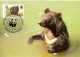CM Pakistan/WWF Protected Bear 1989 - Ours