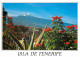 Espagne - Espana - Islas Canarias - Tenerife - Valle De La Orotava - Fleurs - CPM - Voir Scans Recto-Verso - Tenerife