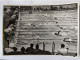 CP - Grand Format Sammelwerk 14 Olympia 1936 Bild 88 Gruppe 58 Natation - Jeux Olympiques