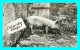 A739 / 173 COCHON En Vacances - Pigs