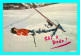 A743 / 279 SPORTS D'HIVER Skia? Dodo ( Skieur Humour ) - Winter Sports