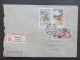 BRIEF Plzeň Bušovice Stupno Motýli Švabinský 1962 Schmetterling Butterfly  /// P8498 - Storia Postale