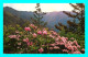 A754 / 357 Mountain Laurel - Mountain National Park ( Timbre ) - USA Nationalparks