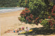 1 AK Neuseeland / New Zealand * Summer Playground In Northland * - Neuseeland