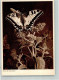 39865804 - Blumen Foto Schweitzer Verlag Horn Serie 137 - Vlinders