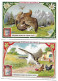 S 872, Liebig 6 Cards, Oiseaux De Proie (small Damage In Corners) - Liebig