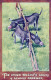 DONKEY Animals Vintage Antique Old CPA Postcard #PAA154.A - Burros