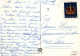 MONO Animales Vintage Tarjeta Postal CPSM #PAN973.ES - Monos