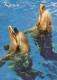 Dolphins Animals Vintage Postcard CPSM #PBS678.GB - Delfini