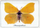 BUTTERFLIES Animals Vintage Postcard CPSM #PBS432.GB - Mariposas