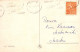 Feliz Año Navidad PÁJARO Vintage Tarjeta Postal CPA #PKE828.ES - New Year