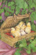 PASCUA POLLO HUEVO Vintage Tarjeta Postal CPA #PKE073.ES - Easter