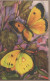 MARIPOSAS Vintage Tarjeta Postal CPSM #PBZ949.ES - Papillons