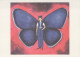 MARIPOSAS Animales Vintage Tarjeta Postal CPSM #PBS433.ES - Papillons