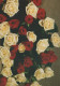 FLOWERS Vintage Ansichtskarte Postkarte CPSM #PAS664.DE - Fleurs