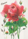 FLOWERS Vintage Ansichtskarte Postkarte CPSM #PAS300.DE - Fleurs