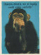 SINGE Animaux Vintage Carte Postale CPSM #PBR985.FR - Singes