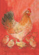 UCCELLO Animale Vintage Cartolina CPSM #PBR580.IT - Oiseaux