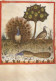 UCCELLO Animale Vintage Cartolina CPSM #PBR456.IT - Oiseaux