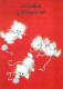 GATTO KITTY Animale Vintage Cartolina CPSM #PBQ989.IT - Chats