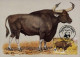 CM Campuchea/WWF 1986 Gaur Banteng Water Buffalo Kouprey - Vacas