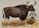 CM Campuchea/WWF 1986 Gaur Banteng Water Buffalo Kouprey - Vaches